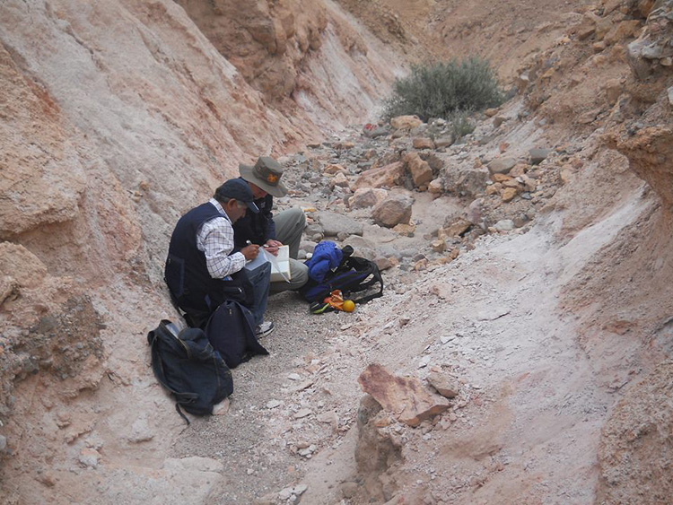 Proyectos Internacionales de Exploración y Prospección